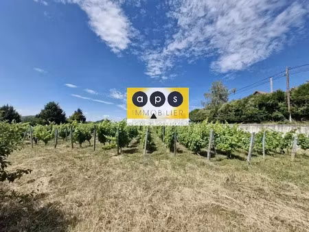 vente terrain 970 m² à arbois (39600)  49 000 €