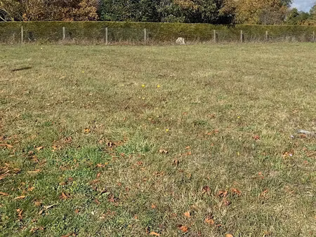 vente terrain 890 m² à beaumont (86490)  60 000 €
