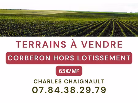 vente terrain à batir 1037 m² à corberon (21250)  58 300 €