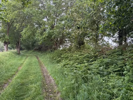 vente terrain 812 m² à cossé-le-vivien (53230)  64 310 €