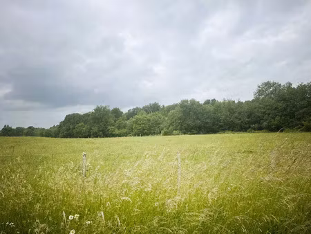 vente terrain 445 m² à la lande-de-fronsac (33240)  70 000 €