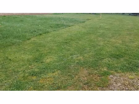 vente terrain 515 m² à bellebat (33760)  65 000 €
