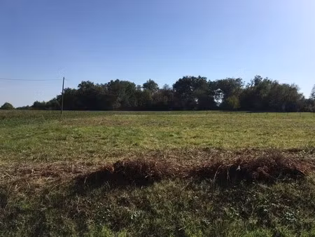 vente terrain 1100 m² à beaufort (31370)  76 000 €