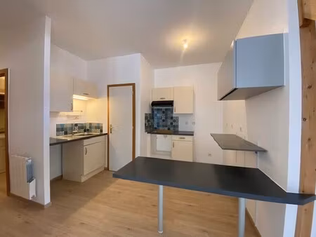 beau duplex de 3 pièces rénové - centre-ville colmar