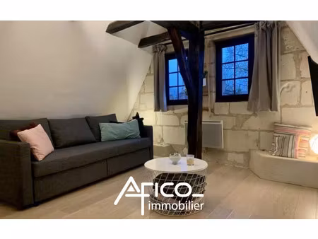 location appartement 1 pièce 22 m² à tours (37000)