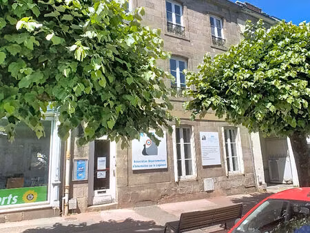 limoges centre - immeuble 10 pièce(s) 243 m2
