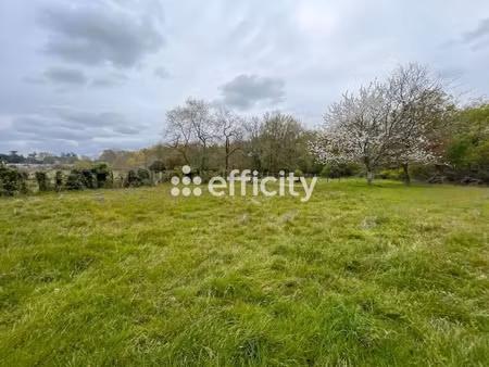 vente terrain 4236 m² à camblanes-et-meynac (33360)  199 000 €