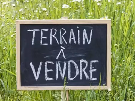 vente terrain 10000 m² à nay (64800)  352 000 €