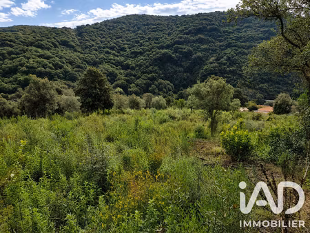 vente terrain 14741 m² à ocana (20117)  650 000 €