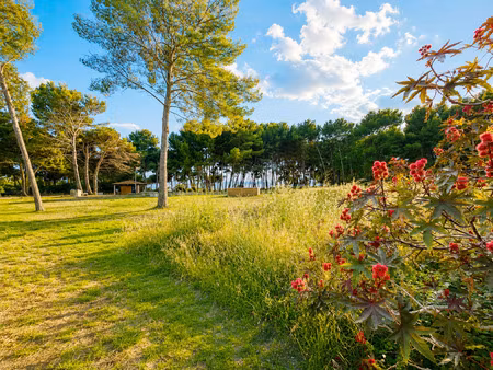 appartement de 110 m2 en rez de jardin les pieds dans l'eau