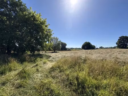 vente terrain 14000 m² à salles-mongiscard (64300)  330 000 €
