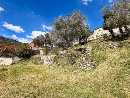 terrain à vendre