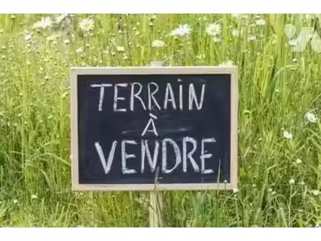 vente terrain à batir 7350 m² à la rochepot (21340)  80 000 €