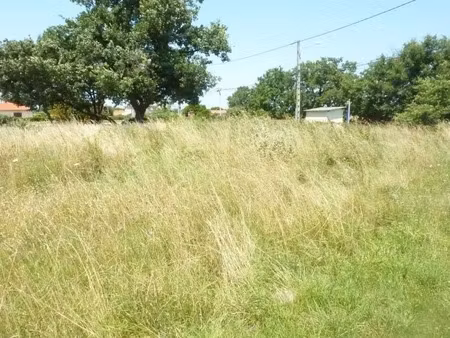 vente terrain 500 m² à aussonne (31840)  110 000 €