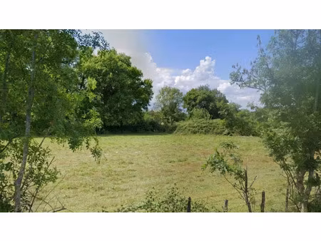 vente terrain 1200 m² à moulon (33420)  105 000 €