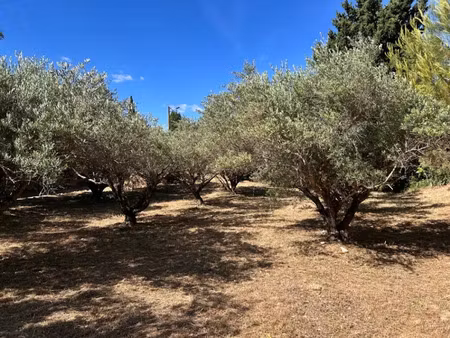 vente terrain 300 m² à saint-jean-de-fos (34150)  95 000 €