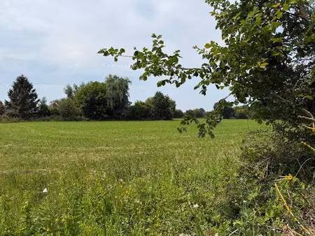 vente terrain à batir 1600 m² à saint-jouin (14430)  118 800 €