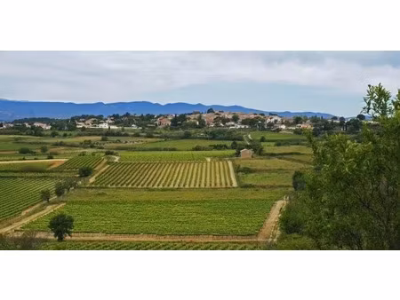 vente terrain 575 m² à pailhes (34490)  128 000 €