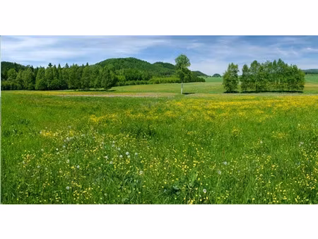 vente terrain 1000 m² à fontenilles (31470)  150 000 €