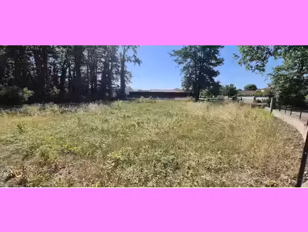 vente terrain 603 m² à saint-romain-de-jalionas (38460)  165 000 €