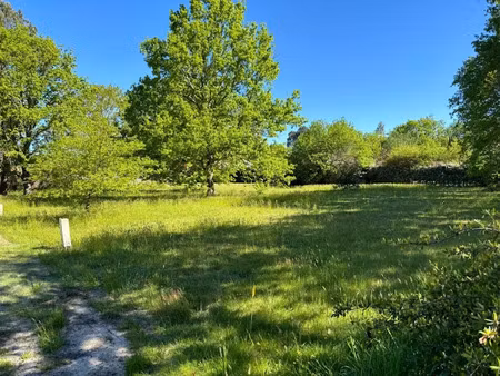 vente terrain 2000 m² à carcans (33121)  198 000 €