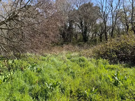 vente terrain 700 m² à le porge (33680)  199 000 €