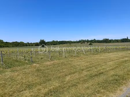 vente terrain 237900 m² à mazion (33390)  184 500 €
