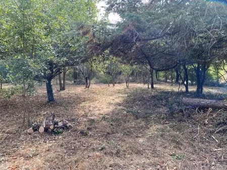 vente terrain 1124 m² à brax (31490)  242 000 €