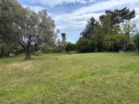 vente terrain 1237 m² à montauroux (83440)  228 000 €