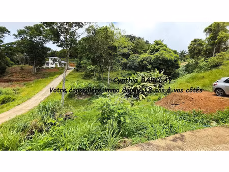 vente terrain 2108 m² à sainte luce (97228)  228 900 €