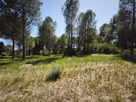 vente terrain 500 m² à roquebrune-sur-argens (83520)  227 000 €