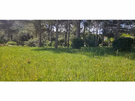 vente terrain 1500 m² à saint-raphael (83700)  570 000 €