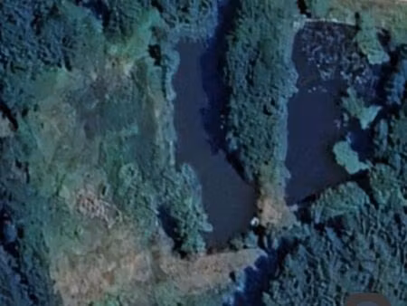 terrain à louer avec étangs et pâturage
