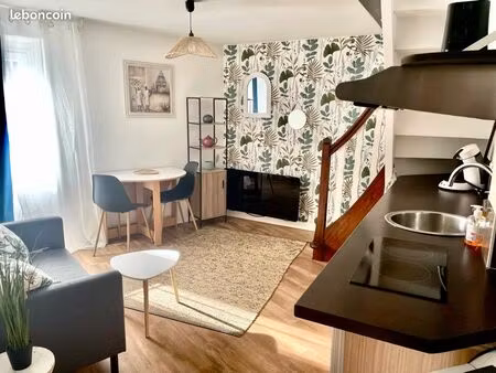 duplex meublé à 2 pas de l’école d’infirmier ifsi-ifsa