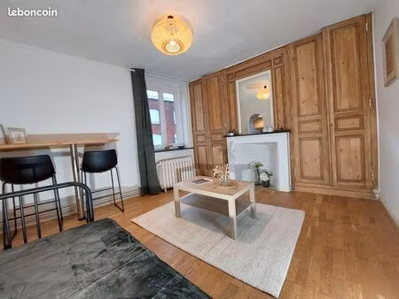 appartement meuble 20m² tourcoing brun pain