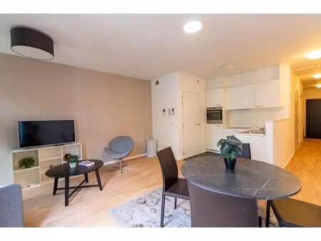 appartement à louer à solvynsstraat 80 anvers (rbw30003)