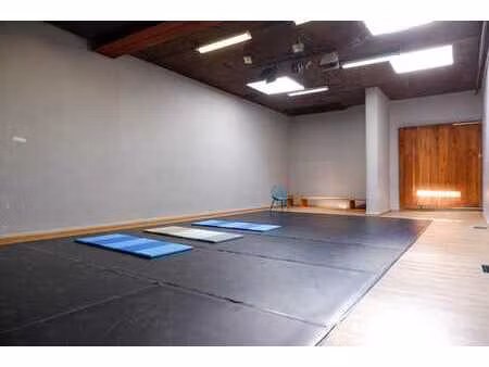 un lieu hybride a usage mixte 581m² avec terrasse 50m²
