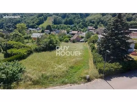 terrain 2010 m² bourbach le bas