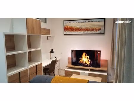 appartement meublé lyon 3