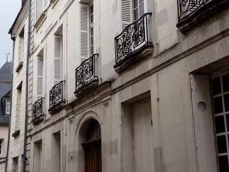 superbe appartement 2 pièces vieux tours