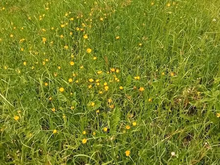 recherche terrain bâtiment agricole
