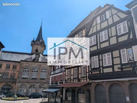 studio 1 pièce 18 m²