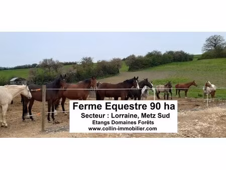 en vente terrain constructible 9 000 ares – 2 940 000 € |metz