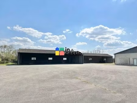 vente entrepôt vibraye 72320 17015m²