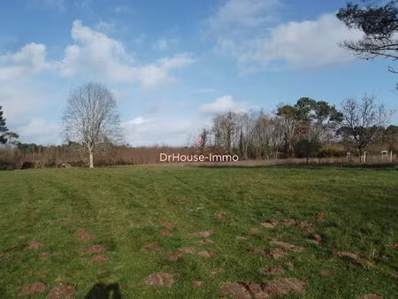 grand terrain constructible libre de constructeur