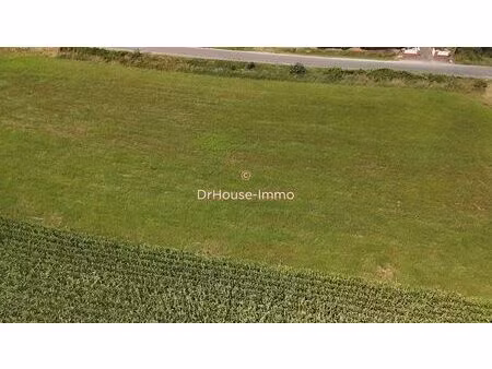terrain constructible