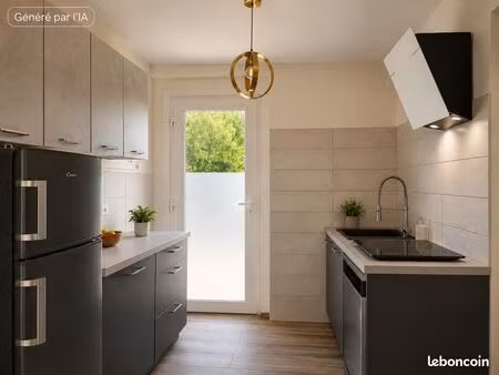 appartement 3 pièces 46 m²