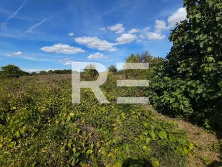 terrain agricole de 1799m² avec forage