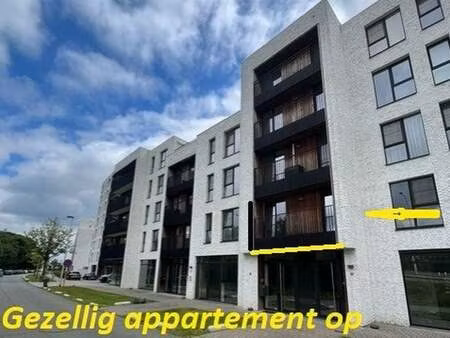 appartement à louer à hasselt € 1.010 (lpki0) - clé vastgoed | zimmo