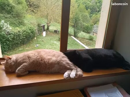 besoin d'une maison